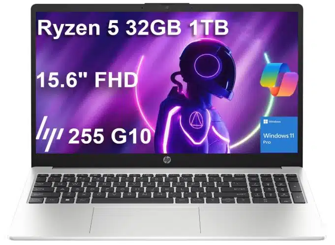 HP 255 G10 Business Laptop
