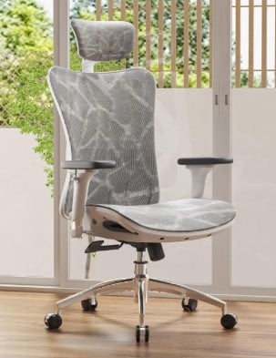 SIHOO M57 Ergonomic Office Chair with 3 Way Armrests Lumbar Support